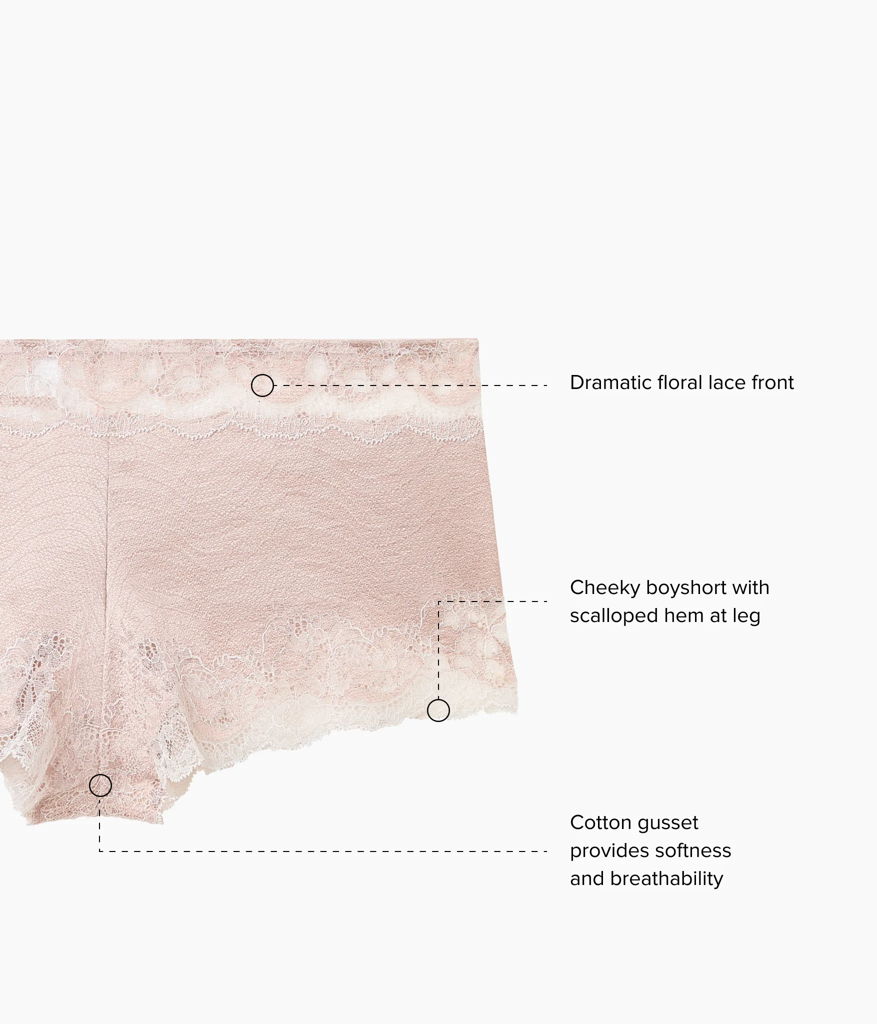 Modern Affair Boyshort: Rose Dust/Angel Wing - Image 4